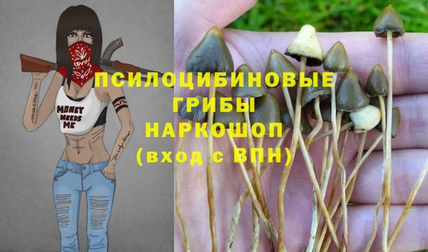 скорость Горнозаводск