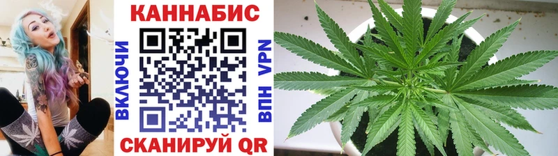 Купить где  Касимов  Канабис конопля 